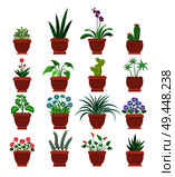 Browallia and clivia cactus collection of room plants potted plants with flowers of different types, vector illustration, isolated on white background. Browallia Clivia Collection Vector Illustration. Стоковая иллюстрация, агентство Ingram Publishing / Фотобанк Лори