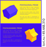 Pentagonal and pentagrammic geometric prisms, two color cards isolated on yellow and lilac, text sample, vector illustration, geometric figures set. Pentagonal and Pentagrammic Prisms Two Color Cards. Стоковая иллюстрация, агентство Ingram Publishing / Фотобанк Лори
