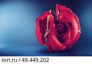 Pretty brunette woman wearinf fabulous red rose dress. Стоковое фото, агентство Ingram Publishing / Фотобанк Лори
