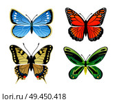 Butterflies kinds collection with colorful wings, ornithoptera priamus poseidon butterfly types set, vector illustration isolated on white background. Butterflies Kinds Collection Vector Illustration. Стоковая иллюстрация, агентство Ingram Publishing / Фотобанк Лори