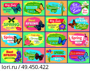 Spring big sale posters collection with butterflies types, snowdrops and tulips, spring sale and discount offers, isolated on vector illustration. Spring Big Sale Posters Set Vector Illustration. Стоковая иллюстрация, агентство Ingram Publishing / Фотобанк Лори