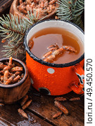 Tea with pine buds for treating colds.Pine buds.Herbal medicine.Herbal tea. Tea with pine buds. Стоковое фото, агентство Ingram Publishing / Фотобанк Лори