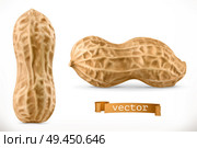 Peanut. 3d vector realistic icon. Стоковая иллюстрация, агентство Ingram Publishing / Фотобанк Лори