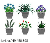 Flower pots collection of grey color, vases flowers set, rosemary and haworthia, leaves flourishing, vector illustration isolated on white. Flower Pots Set of Grey Color Vector Illustration. Стоковая иллюстрация, агентство Ingram Publishing / Фотобанк Лори
