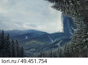 Panoramic view of Carpathians mountain range with the fir forest background in a cold and snowy winter day.  Three dimensional landscape, holiday journey, hiking and trekking concept. Стоковое фото, агентство Ingram Publishing / Фотобанк Лори