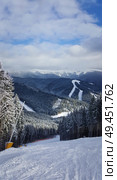 Beautiful view of Carpathians mountain range with the fir forest background in a cold and snowy winter day. Travel, tourism, hiking and trekking concept. Bukovel, Ukraine. Стоковое фото, агентство Ingram Publishing / Фотобанк Лори