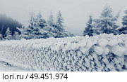 Winter landscape with snowed trees, and wooden fence covered with frost. Стоковое фото, агентство Ingram Publishing / Фотобанк Лори