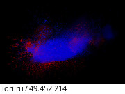 Freeze motion of red and blue powder exploding, isolated on black, dark background. Abstract design of dust cloud. Particles explosion, screen saver wallpaper with copy space. Vivid colorful ash. Стоковое фото, агентство Ingram Publishing / Фотобанк Лори