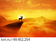 Silhouette of a lonely deer with long horns standing on a cliff against orange sunset. Dusk sky over the clouds in the mountains. Wild life landscape scene screen saver. Стоковое фото, агентство Ingram Publishing / Фотобанк Лори