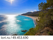 Playa Illot del Torn Hospitalet del Infant beach in Costa dorada of Tarragona Catalonia L’ametlla. Стоковое фото, агентство Ingram Publishing / Фотобанк Лори