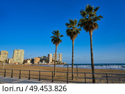 Oropesa de Mar beach La Concha playa in Castellon of Spain. Стоковое фото, агентство Ingram Publishing / Фотобанк Лори