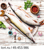 Two raw pike with spices on an old wooden background.Raw fish with spices for cooking.. Fish pike on the kitchen board. Стоковое фото, агентство Ingram Publishing / Фотобанк Лори