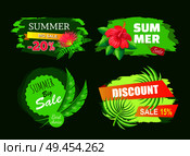 Summer big sale best choice tags discount sale 15 20 percent off set of promo labels tropical summertime plants, advertisement emblems isolated on green. Summer Sale Best Choice Tags Discount Emblem Set. Стоковая иллюстрация, агентство Ingram Publishing / Фотобанк Лори