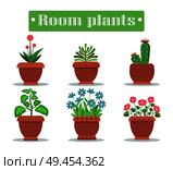 Room plants in pots with blossom and spikes set. Exotic cacti and herbal indoor plants. Potted flowers with bright blossom vector illustrations set.. Room Plants in Pots with Blossom and Spikes Set. Стоковая иллюстрация, агентство Ingram Publishing / Фотобанк Лори