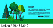 Forest banner with green different trees and bushes, deforestation concept. Environmentally safe nature with plants and foliage on green lawn. Forest Vector Web Banner with Trees and Bushes. Стоковая иллюстрация, агентство Ingram Publishing / Фотобанк Лори