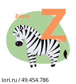 Children ABC with cute animal cartoon vector. English letter Z with funny zebra flat illustration isolated on white background. Zoo alphabet with horse and caption for preschool education, kids books. Zoo ABC Letter with Cute Zebra Cartoon Vector. Стоковая иллюстрация, агентство Ingram Publishing / Фотобанк Лори