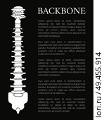Backbone poster and editable text sample, part of human skeletal system body, vertebrae separated by disks, isolated on black vector illustration. Backbone Poster and Text, Vector Illustration. Стоковая иллюстрация, агентство Ingram Publishing / Фотобанк Лори