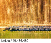 Spring green and brown agricultural fields. Top view. Dirt rural road and birch alley. Winter crops and plowed field. Spring countryside aerial landscape. Belarus. Стоковое фото, агентство Ingram Publishing / Фотобанк Лори