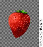 Strawberry closeup, fruit widely grown hybrid species of genus fragaria, fleshy part of berry with seeds leaf on top transparent vector illustration. Strawberry Closeup on Transparent in Vector Illustration. Стоковая иллюстрация, агентство Ingram Publishing / Фотобанк Лори