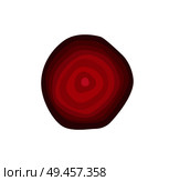 Sweet beet round slice as ingredient for detox. Delicious juicy vegetable of saturated color to clean microflora isolated cartoon vector illustration.. Sweet Beet Round Slice as Ingredient for Detox. Стоковая иллюстрация, агентство Ingram Publishing / Фотобанк Лори
