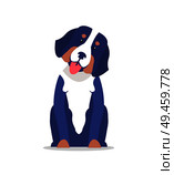 Cute dog with long ears and white collar vector illustration isolated. Adorable home pet, best animal friend, canine showing tongue, friendly pedigree. Cute Dog with Long Ears and White Collar Vector. Стоковая иллюстрация, агентство Ingram Publishing / Фотобанк Лори