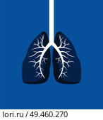 Lungs image banner isolated on blue background, vector illustration of human organ with white windpipe, organism s part, colorful biologic poster. Lungs Image Banner Isolated on Blue Background. Стоковая иллюстрация, агентство Ingram Publishing / Фотобанк Лори