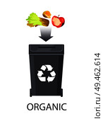 Icon of trash box for organic waste color banner isolated on white backdrop vector illustration, dark arrow and food refuse, fruits and vegetables set. Icon of Trash Box for Organic Waste Color Banner. Стоковая иллюстрация, агентство Ingram Publishing / Фотобанк Лори
