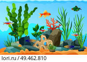 Hand drawn aquarium with fish and seaweed. Goldfish and neon tetra, green tiger barb and blue striped tamiran wrasse swimming among underwater plants. Hand drawn aquarium with fish and seaweed icons. Стоковая иллюстрация, агентство Ingram Publishing / Фотобанк Лори