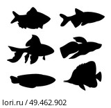 Aquarium fish silhouette set. Goldfish and green tiger fish, butterfly fish blue long wrasse. Different types of limbless animals vector illustration. Aquarium Fish Silhouette Set Vector Illustration. Стоковая иллюстрация, агентство Ingram Publishing / Фотобанк Лори