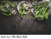 Ramson, wild garlic, pesto with ingredients on dark rustic kitchen table background, top view, border. Copy space for your design, text or recipes. Spring seasonal food. Стоковое фото, агентство Ingram Publishing / Фотобанк Лори
