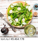 Spinach salad with fresh cucumbers,microgreen and quail eggs.Tasty vegetable salad.Vegetarian food concep. Fresh spring salad. Стоковое фото, агентство Ingram Publishing / Фотобанк Лори
