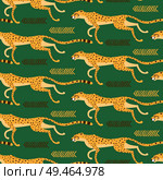 Seamless pattern with running cheetahs, leopards. Repeated exotic wild cats on a green background. Vector illustration.. Seamless pattern with running cheetahs, leopards. Repeated exotic wild cats on a green background. Vector illustration. Стоковая иллюстрация, агентство Ingram Publishing / Фотобанк Лори