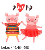 Happy 2019 New Year card. Couple of funny piglets congratulate on the holiday. Pig in ballet tutu and boar in sweater. Pig Chinese zodiac symbol of the year. Vector illustration in cartoon style.. Happy 2019 New Year card. Couple of funny piglets congratulate on the holiday. Pig in ballet tutu and boar in sweater. Pig Chinese zodiac symbol of the year. Vector illustration in cartoon style. Стоковая иллюстрация, агентство Ingram Publishing / Фотобанк Лори