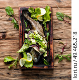 Baked trout with avocado on a wooden kitchen board.Baked fish with lettuce and avacado. Baked fish with avocado. Стоковое фото, агентство Ingram Publishing / Фотобанк Лори