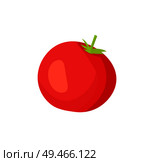 Homegrown uncut tomato with green leaf vector illustration isolated. Flat design fleshy and soft red vegetable as cartoonish illustrative material.. Cartoon Uncut Fleshy Red Tomato with Green Leaf. Стоковая иллюстрация, агентство Ingram Publishing / Фотобанк Лори
