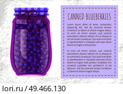 Canned blueberries or blackberries in unlabeled glass jar, preserved food poster. Fruits and berries preservation vector illustration conserved desserts. Canned Blueberries or Blackberries in Glass Jar. Стоковая иллюстрация, агентство Ingram Publishing / Фотобанк Лори