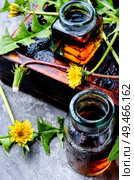 Medicinal plant dandelion or Taraxacum officinale.Dandelion leaves.Herbal medicine. Dandelion tincture in bottle. Стоковое фото, агентство Ingram Publishing / Фотобанк Лори