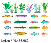 Various algae type, predatory and aquarium fish rare and common specie variegation. Multicolored marine inhabitants vector illustration on white.. Various Algae and Marine Creatures Illustration. Стоковая иллюстрация, агентство Ingram Publishing / Фотобанк Лори