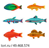Jewel cichlid and Jack Dempsey blue fish with spots. Tropical limbless animals. marine dwellers living by seasides, isolated on vector illustration. Jewel Cichlid Dempsey Fish Vector Illustration. Стоковая иллюстрация, агентство Ingram Publishing / Фотобанк Лори