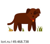 Brown dog with red collar standing on grass character in cartoon style. Faithful farm animal and pet flat vector illustration on white background.. Brown Dog with Red Collar Cartoon Character Poster. Стоковая иллюстрация, агентство Ingram Publishing / Фотобанк Лори