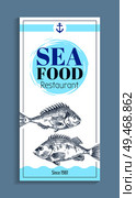 Bass or bream marine creature as seafood sketch style flat vector illustration. Nautical information poster with white and blue spots, text sample. Vector Hand Drawn Bream or Bass Seafood Banner Set. Стоковая иллюстрация, агентство Ingram Publishing / Фотобанк Лори