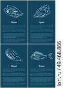 Mollusk and bream fish posters set with title text sample. Marine life unprepared seafood ingredients. Oyster with delicious meat vector illustration. Mollusk and Bream Fish Set Vector Illustration. Стоковая иллюстрация, агентство Ingram Publishing / Фотобанк Лори
