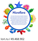 Microflora poster for kids and children healthcare education. Informative text sample in round frame with bacteria, microbe and viruses on border.. Microflora Details in Frame with Various Germ. Стоковая иллюстрация, агентство Ingram Publishing / Фотобанк Лори