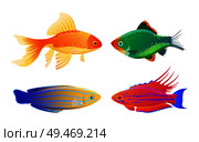 Green tiger barb and goldfish, filamented flasher and blue striped tamarin wrasse. Rare varicolored sea creature cartoon illustration on white tint.. Rare Varicolored Sea Creature Cartoon Illustration. Стоковая иллюстрация, агентство Ingram Publishing / Фотобанк Лори