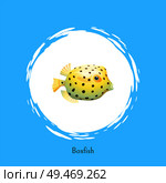 Boxfish animal poster set headline and circle. Fish of rounded shape with fins and dotted pattern on skin floating isolated on vector illustration. Boxfish Animal Poster Set Vector Illustration. Стоковая иллюстрация, агентство Ingram Publishing / Фотобанк Лори