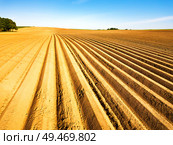 Furrows row pattern in a plowed field prepared for planting crops in spring. Horizontal view in perspective. Agricultural landscape, arable crop field. Minsk region, Belarus. Стоковое фото, агентство Ingram Publishing / Фотобанк Лори