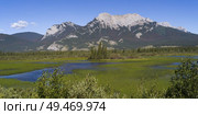 Landscape with snowcapped mountains in the background, Improvement District 12, Yellowhead Highway, Jasper National Park, Jasper, Alberta, Canada. Стоковое фото, агентство Ingram Publishing / Фотобанк Лори