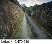 Mayan Ruins, Ancient Mayan Archaeological Site, San Jose Succotz, Cayo District, Belize. Стоковое фото, агентство Ingram Publishing / Фотобанк Лори