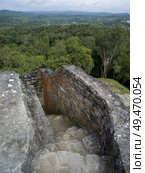 Ruins of staircase at Ancient Mayan Archaeological Site, San Jose Succotz, Cayo District, Belize. Стоковое фото, агентство Ingram Publishing / Фотобанк Лори