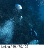 Jellyfish and scuba diver underwater, Three Amigos, Turneffe Atoll, Belize Barrier Reef, Belize. Стоковое фото, агентство Ingram Publishing / Фотобанк Лори